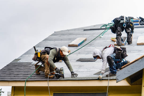 Professional Roofing technician working in Argyle, IA